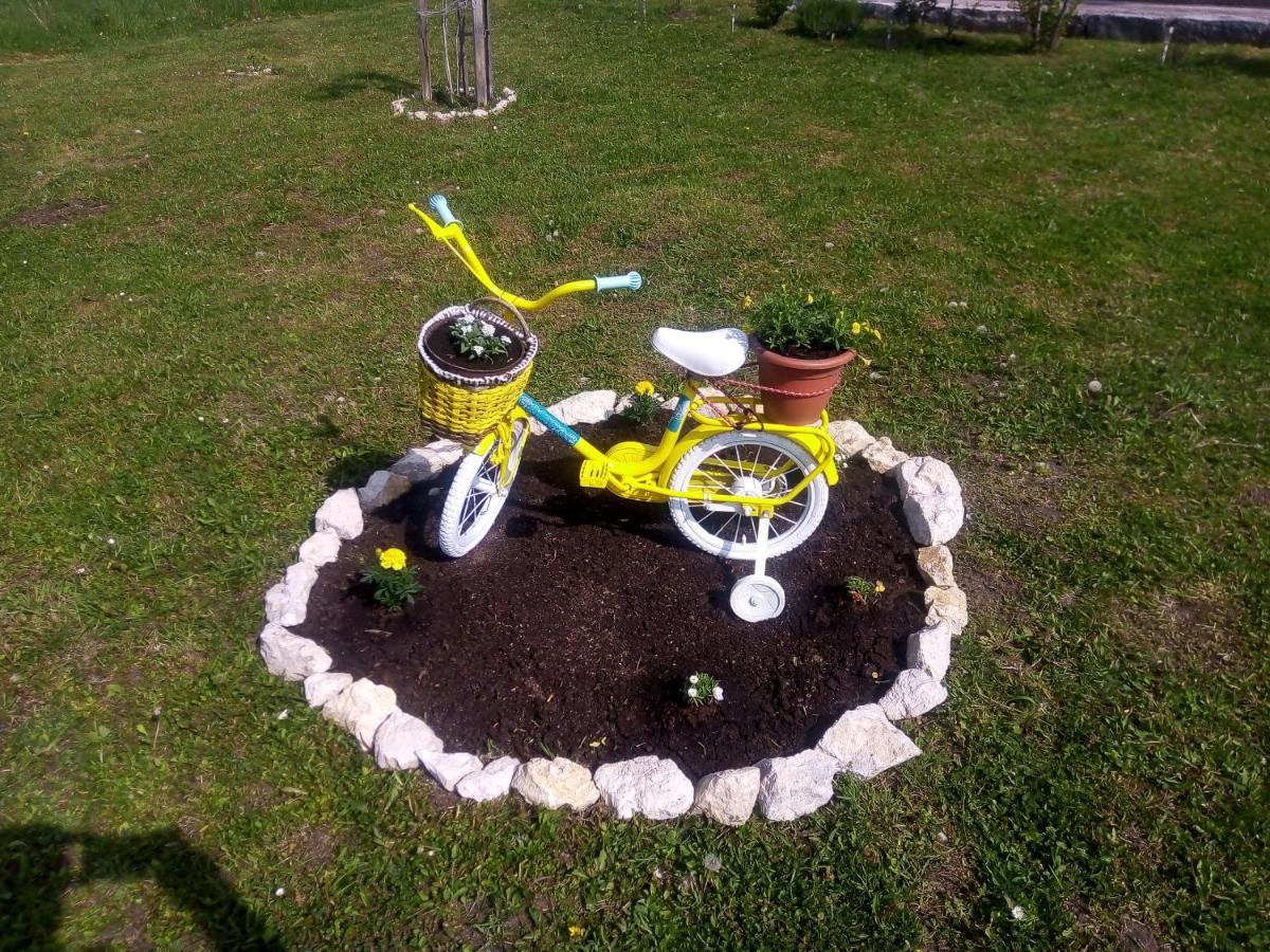 Yellow Rose Раковица Экстерьер фото